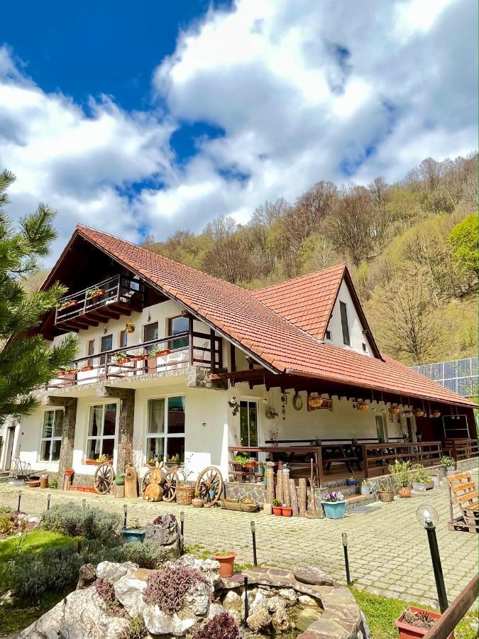 Zărneşti Pensiunea Piatra-Craiului المظهر الخارجي الصورة